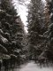 DSCN1651.JPG